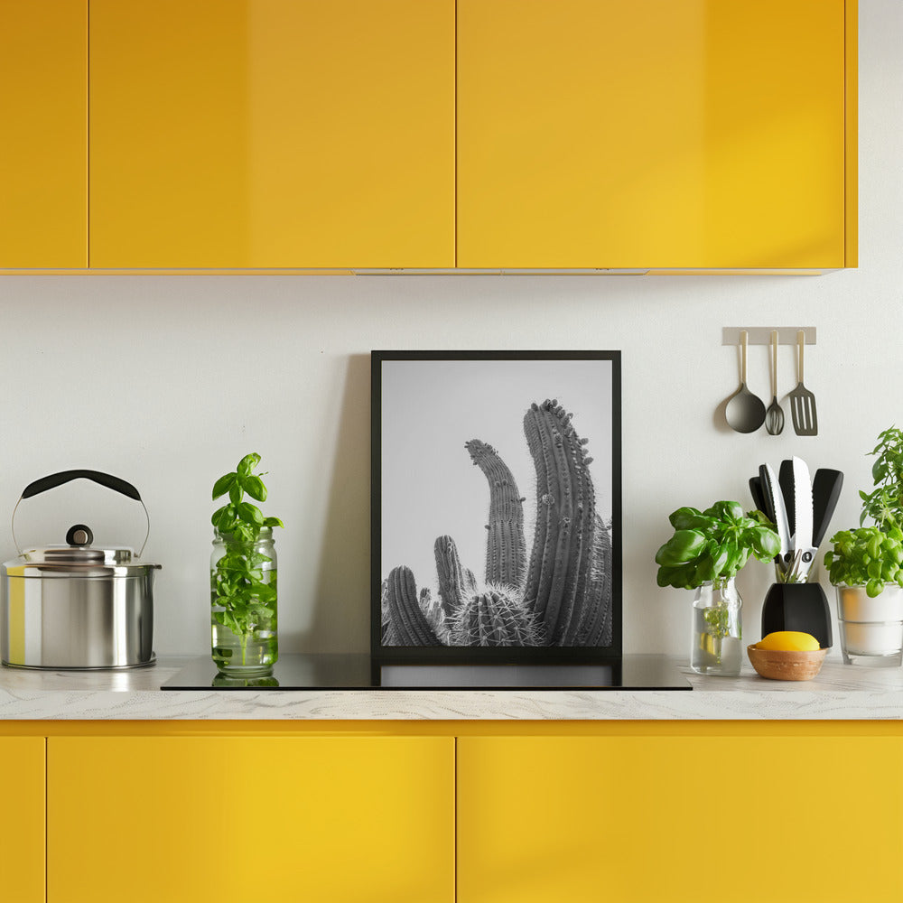 Cactus Poster